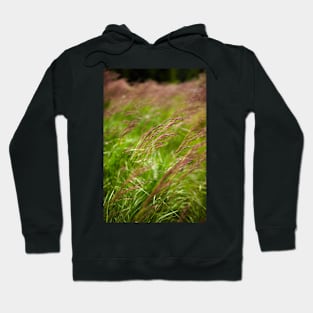 Closeup of grass Hoodie